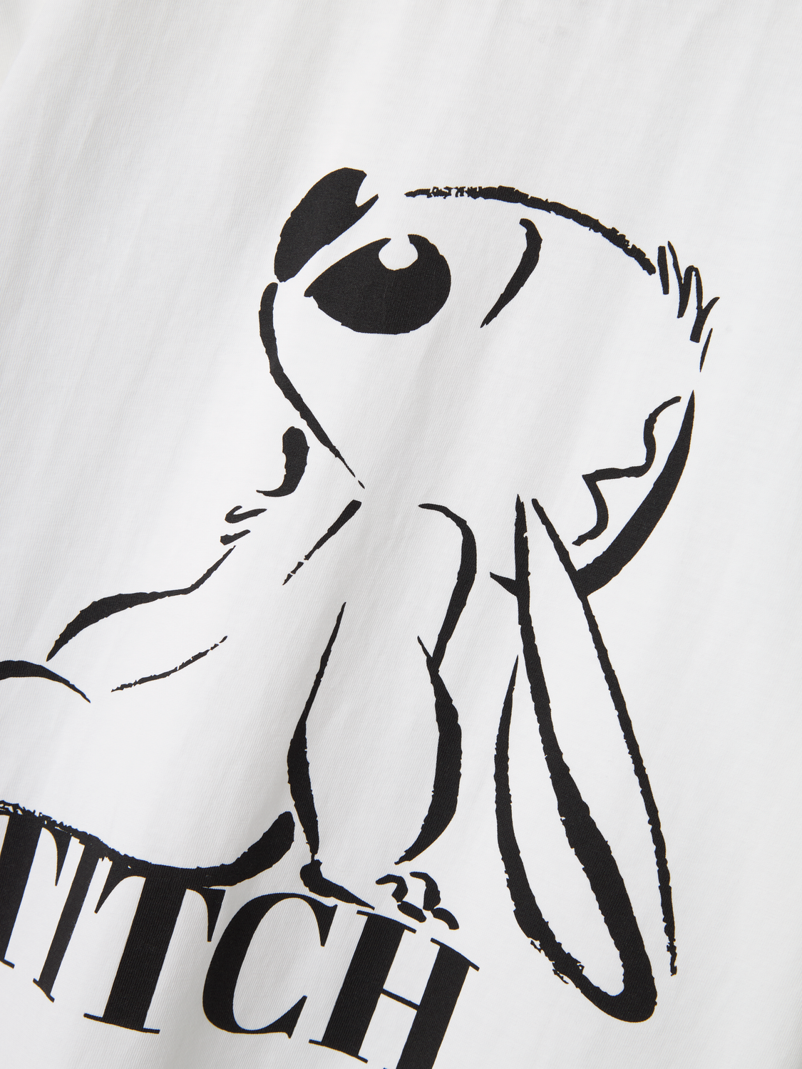 model_shot-front_full